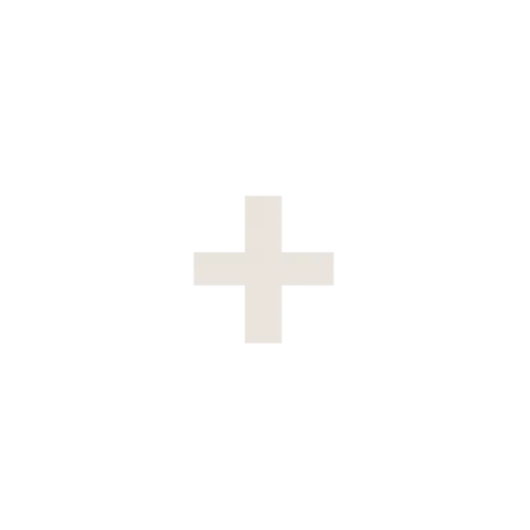 plus-480x480